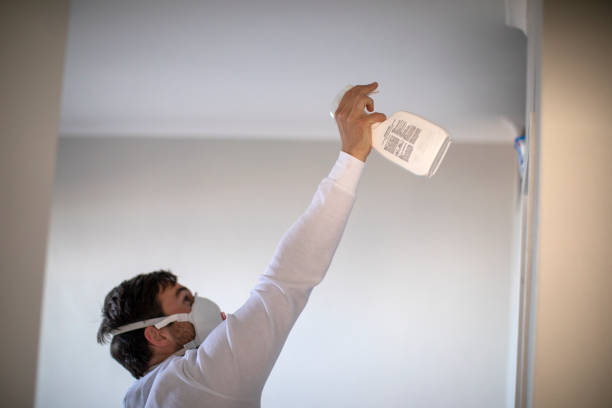 Best Mold Remediation for Specific Building Types in Ossian, IN