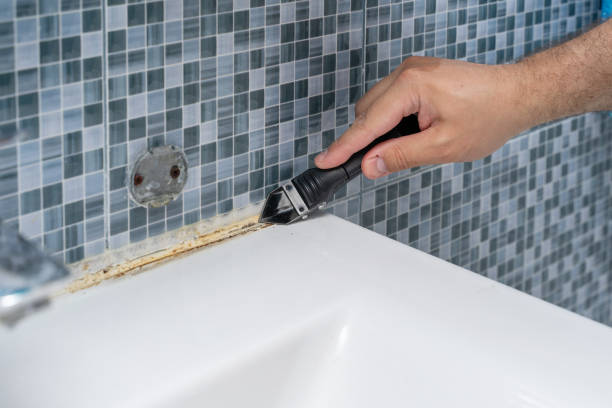 Best Black Mold Remediation in Ossian, IN
